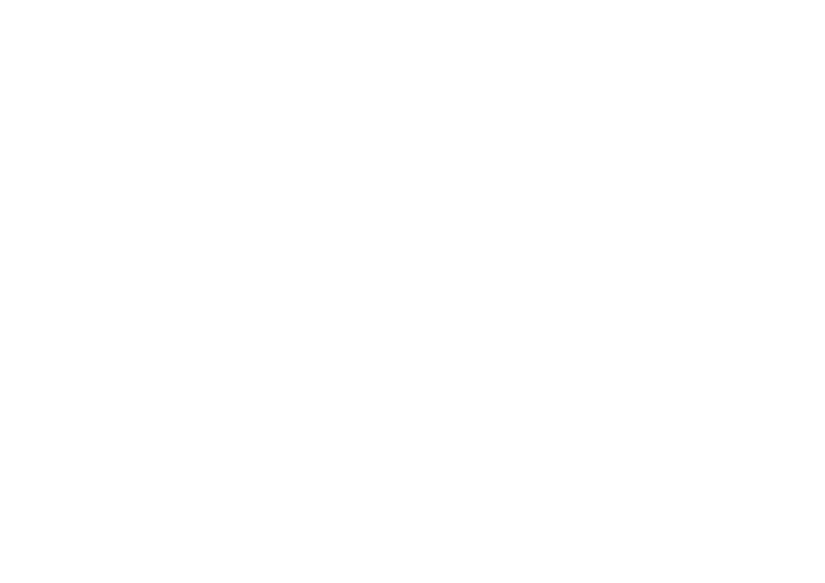 Sentinelle Des Alpes - Grenoble